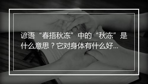 谚语“春捂秋冻”中的“秋冻”是什么意思？它对身体有什么好处？