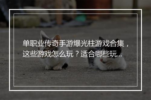 单职业传奇手游爆光柱游戏合集，这些游戏怎么玩？适合哪些玩家？
