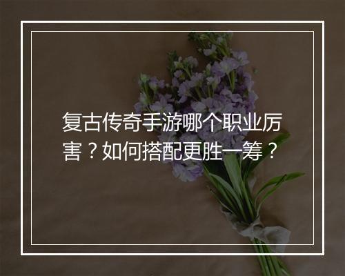 复古传奇手游哪个职业厉害？如何搭配更胜一筹？