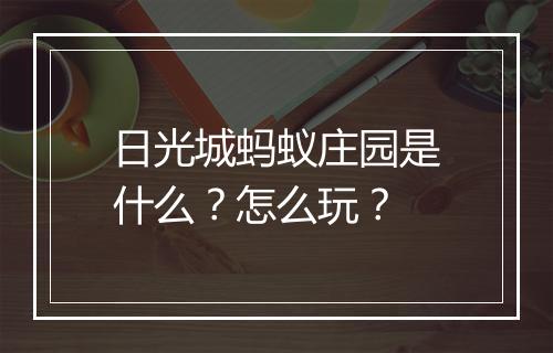日光城蚂蚁庄园是什么？怎么玩？