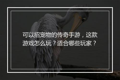 可以招宠物的传奇手游，这款游戏怎么玩？适合哪些玩家？