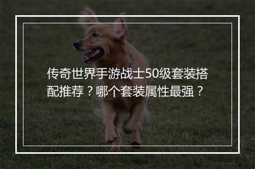 传奇世界手游战士50级套装搭配推荐？哪个套装属性最强？