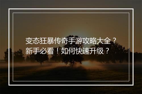 变态狂暴传奇手游攻略大全？新手必看！如何快速升级？