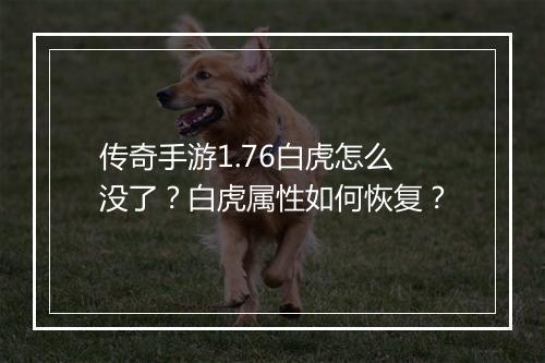 传奇手游1.76白虎怎么没了？白虎属性如何恢复？