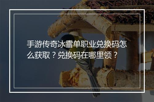 手游传奇冰雪单职业兑换码怎么获取？兑换码在哪里领？