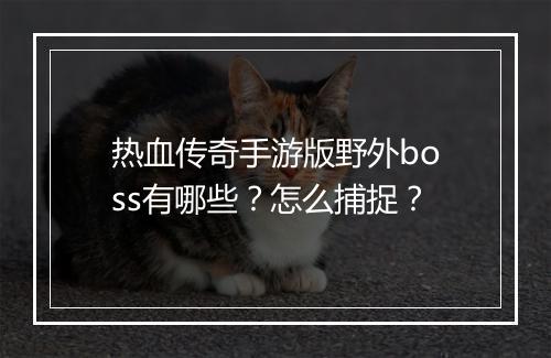 热血传奇手游版野外boss有哪些？怎么捕捉？