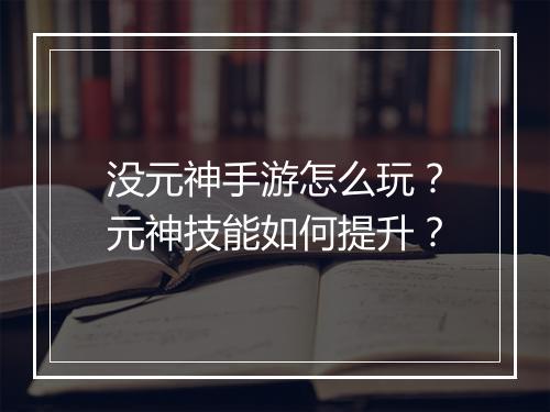 没元神手游怎么玩？元神技能如何提升？