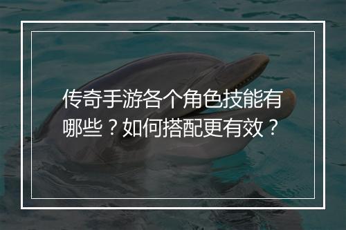 传奇手游各个角色技能有哪些？如何搭配更有效？