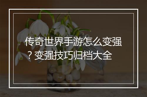 传奇世界手游怎么变强？变强技巧归档大全