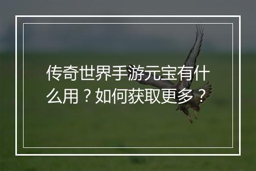 传奇世界手游元宝有什么用？如何获取更多？