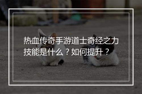热血传奇手游道士奇经之力技能是什么？如何提升？