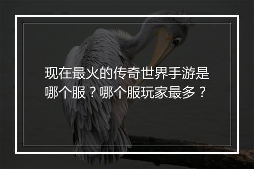 现在最火的传奇世界手游是哪个服？哪个服玩家最多？
