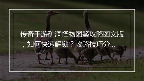 传奇手游矿洞怪物图鉴攻略图文版，如何快速解锁？攻略技巧分享！