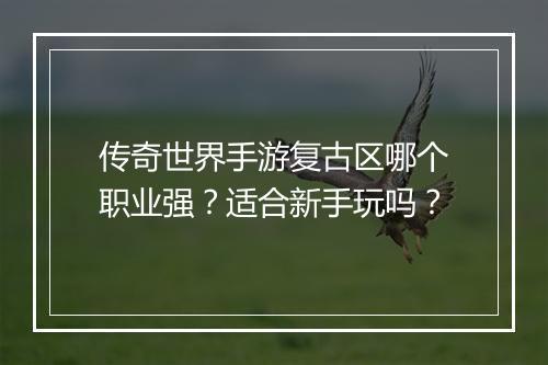 传奇世界手游复古区哪个职业强？适合新手玩吗？