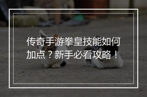 传奇手游拳皇技能如何加点？新手必看攻略！