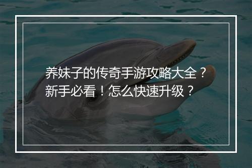 养妹子的传奇手游攻略大全？新手必看！怎么快速升级？