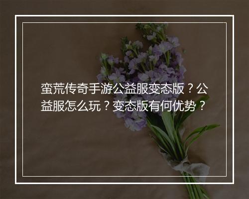 蛮荒传奇手游公益服变态版？公益服怎么玩？变态版有何优势？