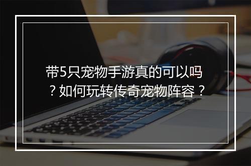 带5只宠物手游真的可以吗？如何玩转传奇宠物阵容？