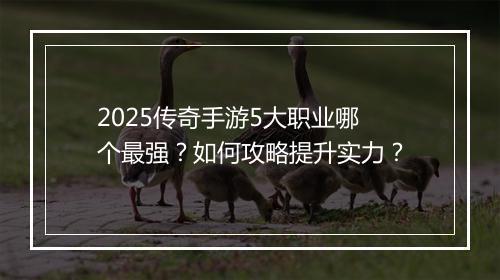 2025传奇手游5大职业哪个最强？如何攻略提升实力？