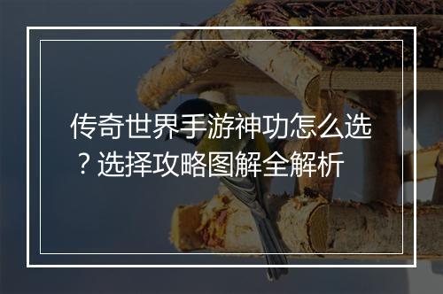 传奇世界手游神功怎么选？选择攻略图解全解析