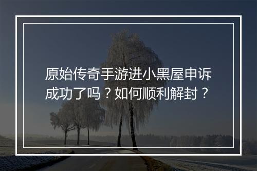原始传奇手游进小黑屋申诉成功了吗？如何顺利解封？