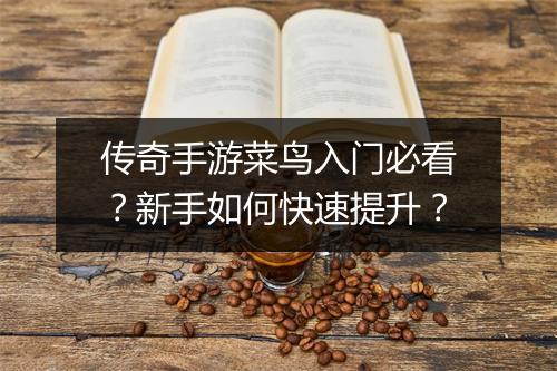 传奇手游菜鸟入门必看？新手如何快速提升？