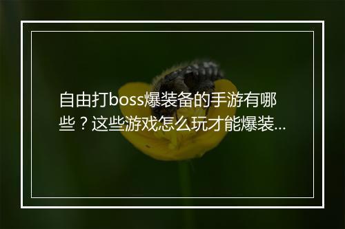 自由打boss爆装备的手游有哪些？这些游戏怎么玩才能爆装备？