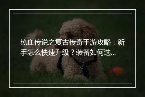 热血传说之复古传奇手游攻略，新手怎么快速升级？装备如何选择？
