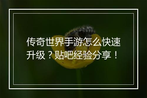 传奇世界手游怎么快速升级？贴吧经验分享！