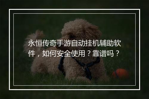 永恒传奇手游自动挂机辅助软件，如何安全使用？靠谱吗？