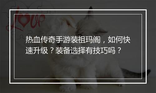 热血传奇手游装祖玛阁，如何快速升级？装备选择有技巧吗？