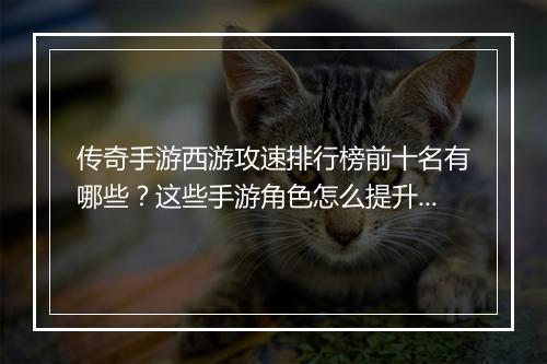 传奇手游西游攻速排行榜前十名有哪些？这些手游角色怎么提升攻速？