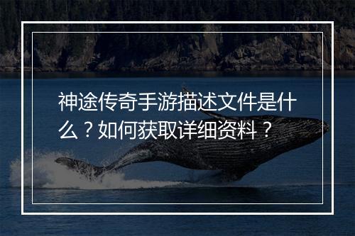 神途传奇手游描述文件是什么？如何获取详细资料？