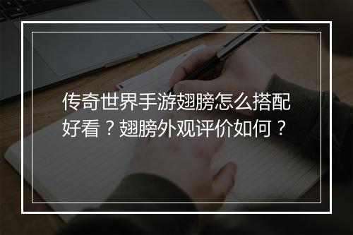 传奇世界手游翅膀怎么搭配好看？翅膀外观评价如何？