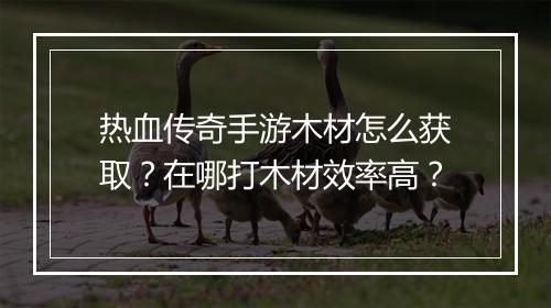 热血传奇手游木材怎么获取？在哪打木材效率高？