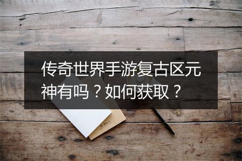 传奇世界手游复古区元神有吗？如何获取？