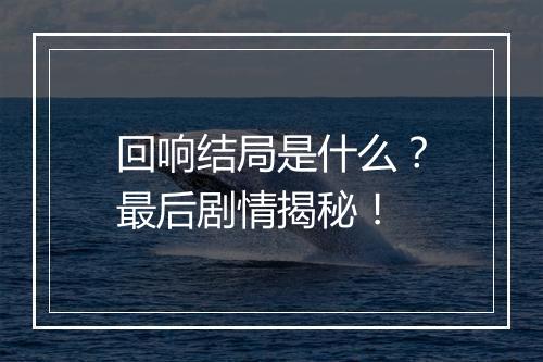 回响结局是什么？最后剧情揭秘！