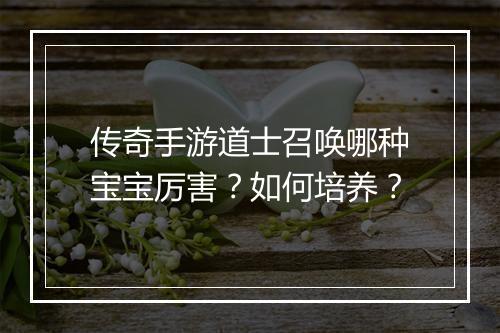 传奇手游道士召唤哪种宝宝厉害？如何培养？