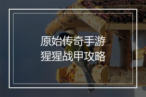 原始传奇手游猩猩战甲攻略