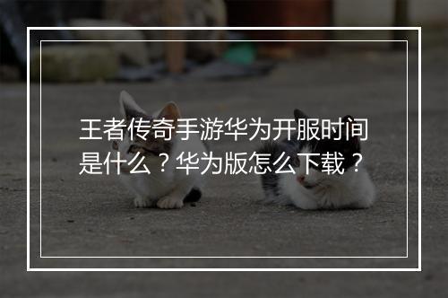 王者传奇手游华为开服时间是什么？华为版怎么下载？