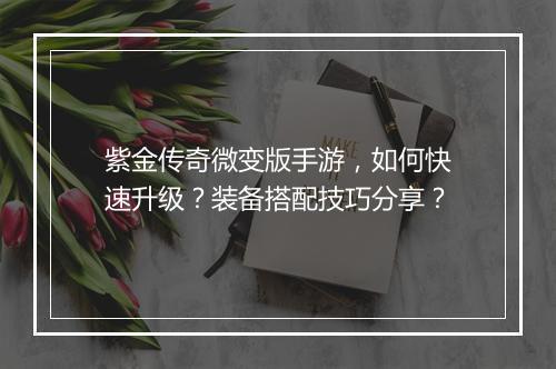 紫金传奇微变版手游，如何快速升级？装备搭配技巧分享？