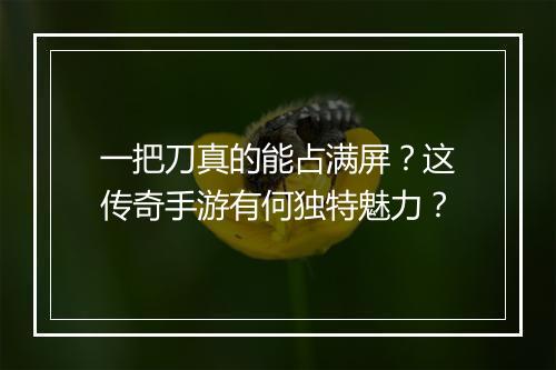 一把刀真的能占满屏？这传奇手游有何独特魅力？