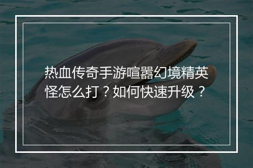 热血传奇手游喧嚣幻境精英怪怎么打？如何快速升级？