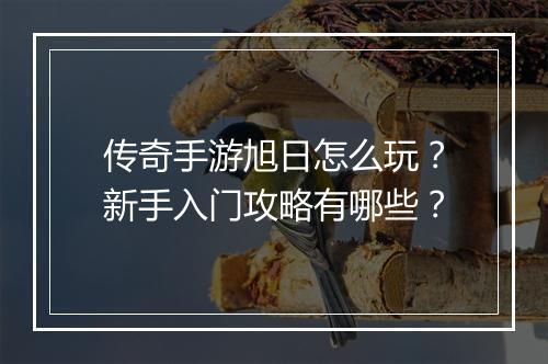 传奇手游旭日怎么玩？新手入门攻略有哪些？