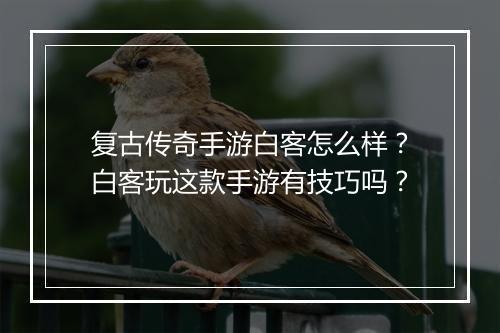 复古传奇手游白客怎么样？白客玩这款手游有技巧吗？