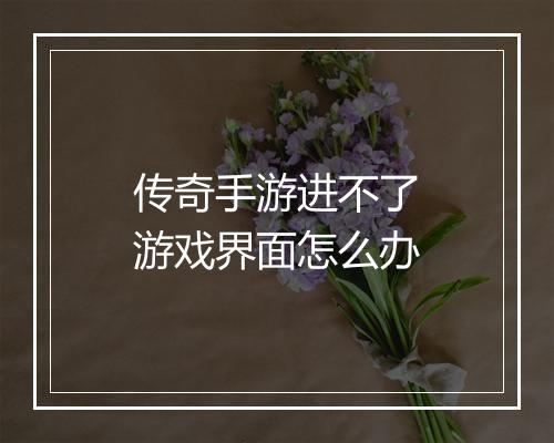 传奇手游进不了游戏界面怎么办