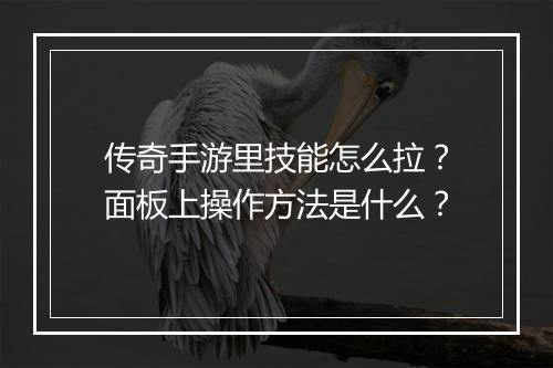 传奇手游里技能怎么拉？面板上操作方法是什么？