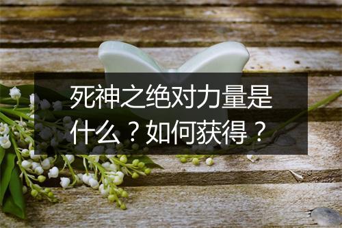 死神之绝对力量是什么？如何获得？