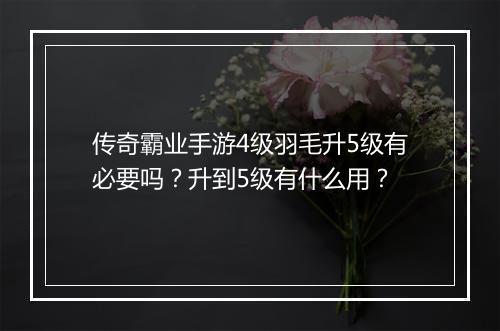 传奇霸业手游4级羽毛升5级有必要吗？升到5级有什么用？