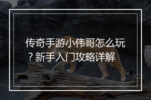 传奇手游小伟哥怎么玩？新手入门攻略详解